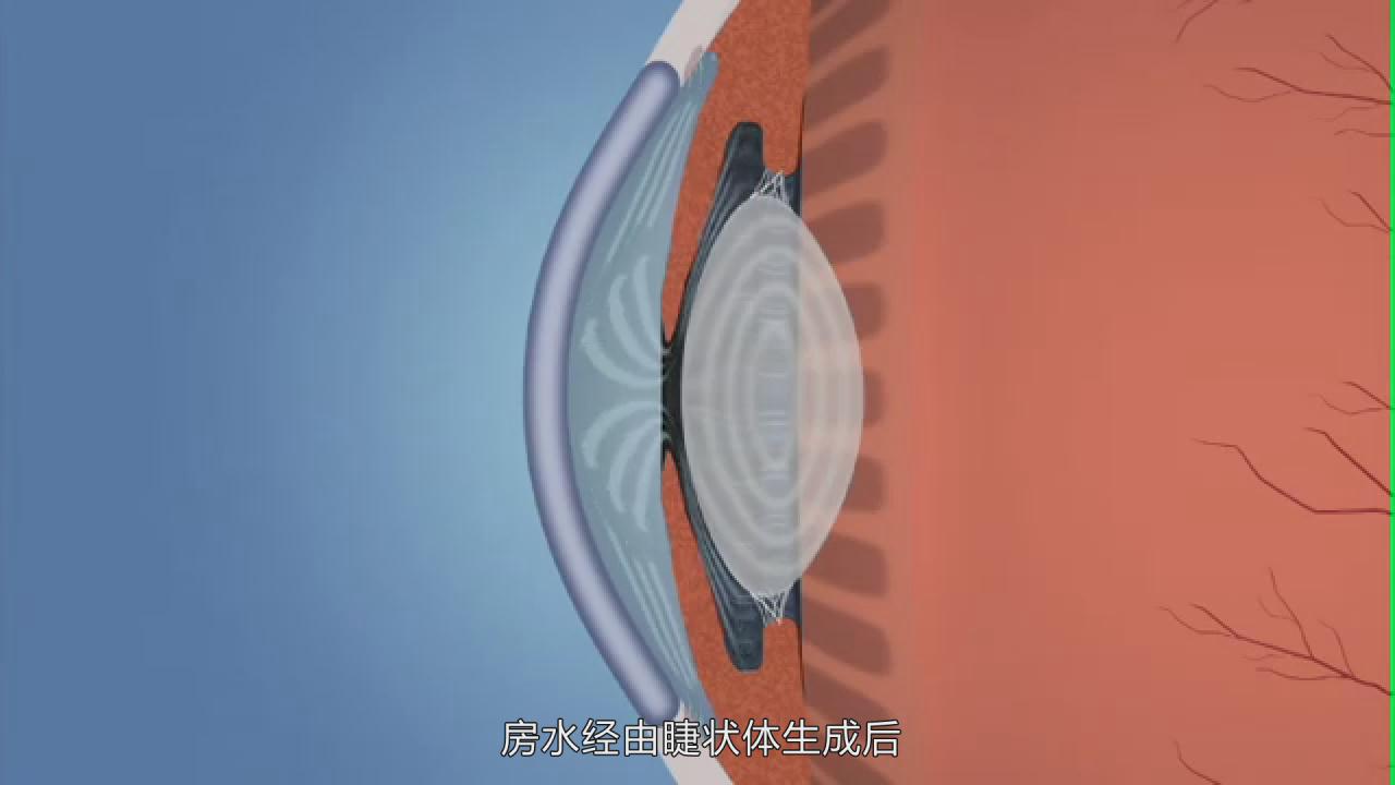 &#20048;&#31454;&#45;&#20048;&#31454;&#40;&#20013;&#22269;&#41;&#19968;&#31449;&#24335;&#26381;&#21153;&#23448;&#32593;