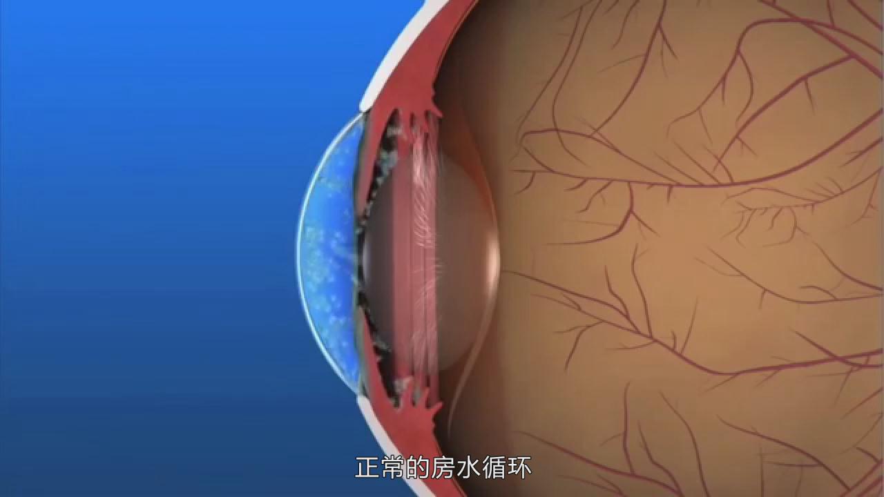 &#20048;&#31454;&#45;&#20048;&#31454;&#40;&#20013;&#22269;&#41;&#19968;&#31449;&#24335;&#26381;&#21153;&#23448;&#32593;