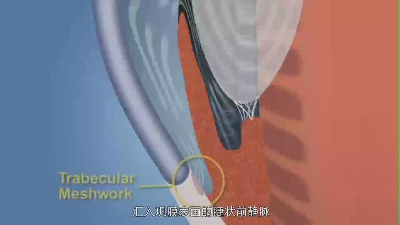 &#20048;&#31454;&#45;&#20048;&#31454;&#40;&#20013;&#22269;&#41;&#19968;&#31449;&#24335;&#26381;&#21153;&#23448;&#32593;