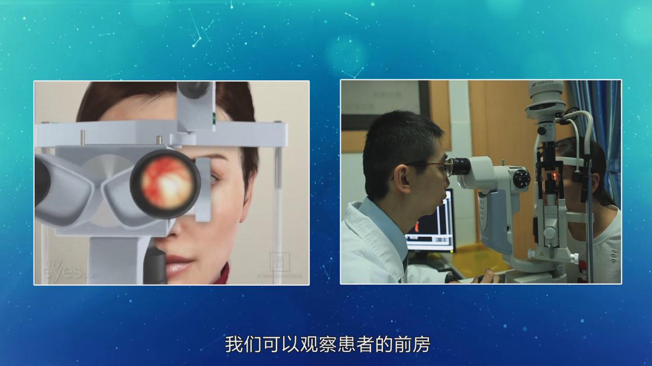 &#20048;&#31454;&#45;&#20048;&#31454;&#40;&#20013;&#22269;&#41;&#19968;&#31449;&#24335;&#26381;&#21153;&#23448;&#32593;